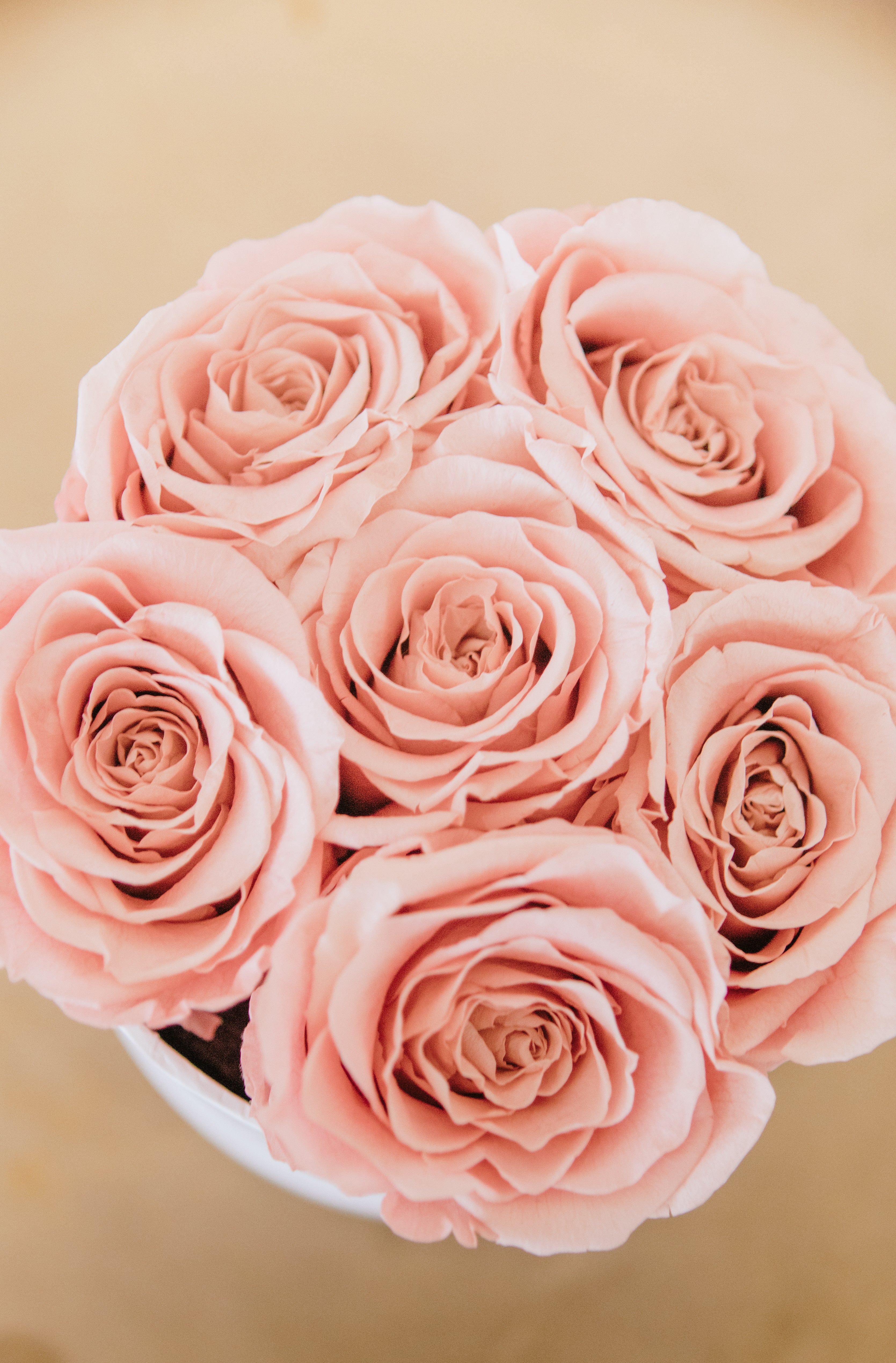 Llevese 1, llevese otro 🫣❤️ Rosas Eternas En Puebla ♥️ 📲 2211196107 , Eternal Roses Bouquet