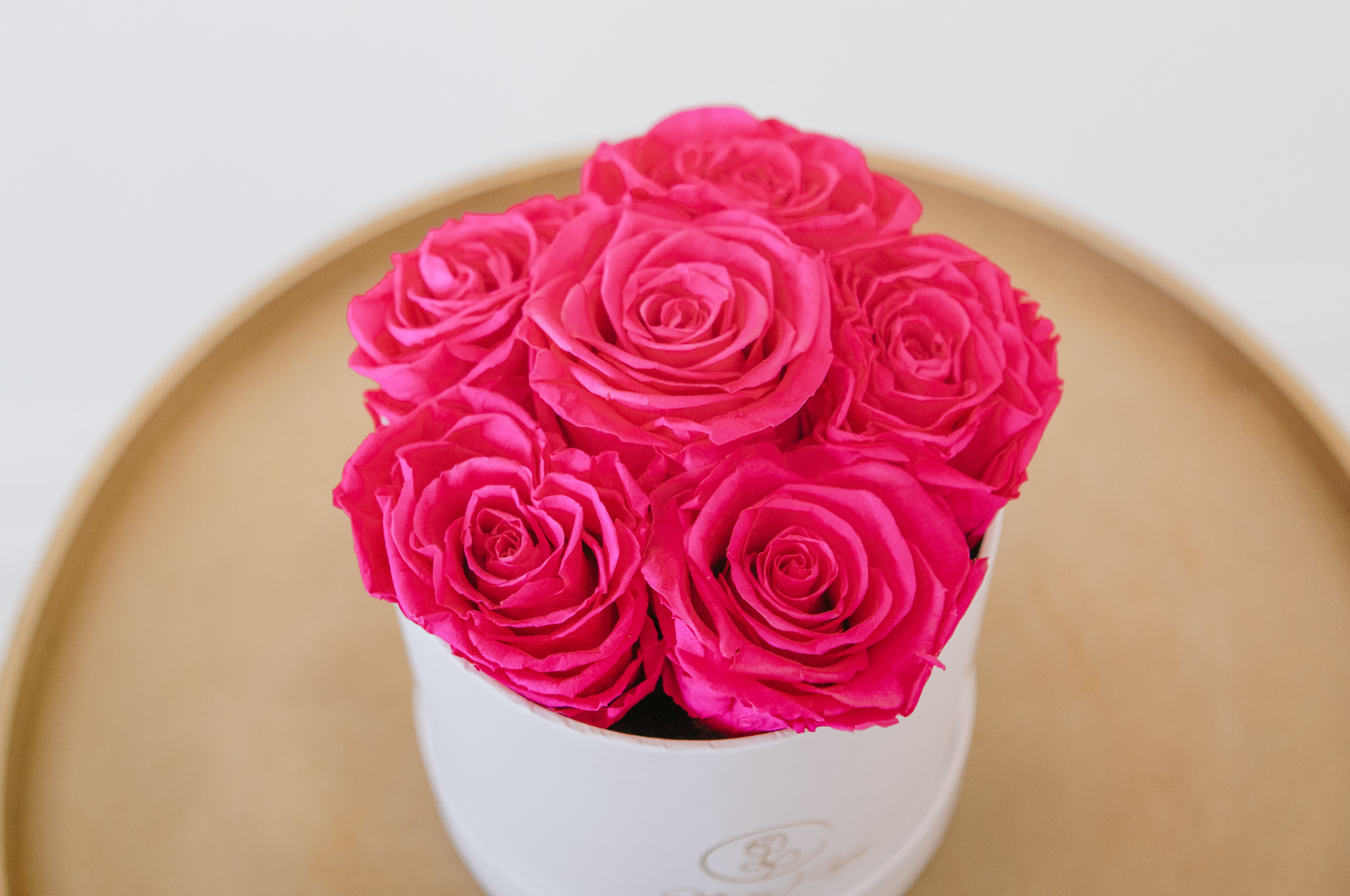 Rosa eterna rosa XL - SempreViva